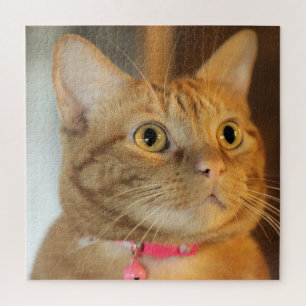 Pretty Penny Legpuzzel