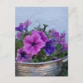 Pretty Petunias Briefkaart (Voorkant)