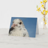 Pretty Pigeon Toutes les occasions Carte de voeux (Fleur jaune)