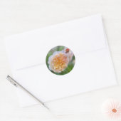 Pretty Pretty Roos Ronde Sticker (Envelop)