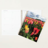 Pretty Spring Tulips in a Field, Oregon (Devant avec enveloppe)