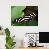 Pretty Zebra Longwing Vlinderprint Poster (Thuiskantoor)