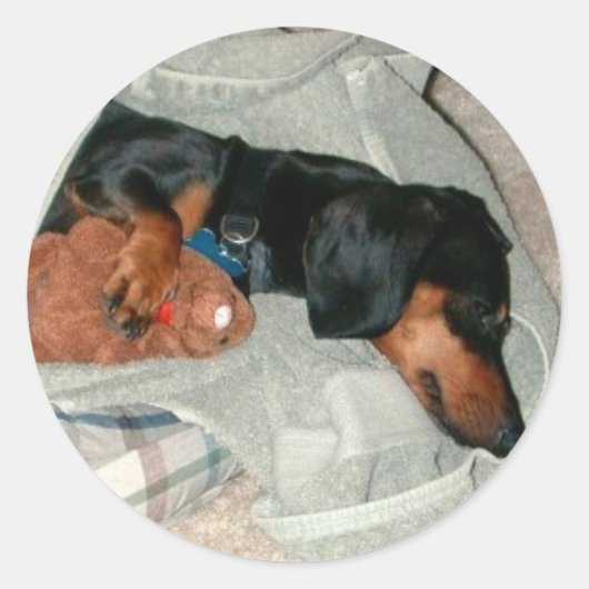 Pretzel & Pal Ronde Sticker (Voorkant)