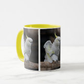 Preventie van de Mok van de kaketoe (Voorkant links)