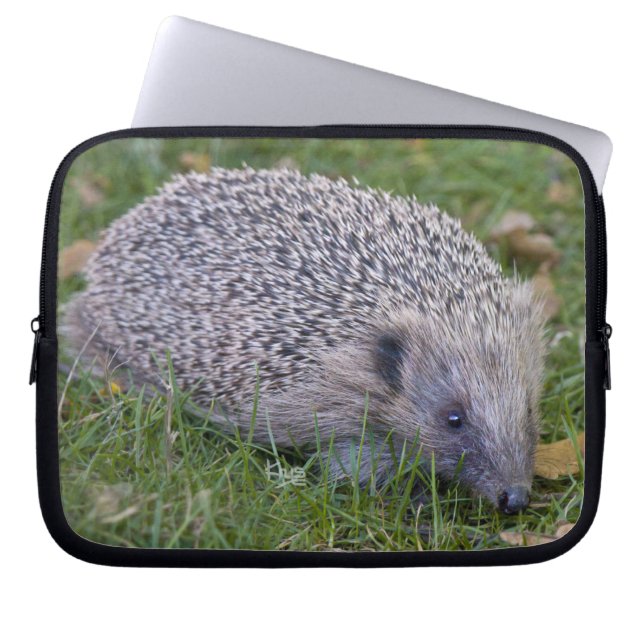 Prickles Laptop Hoes (Voorkant)