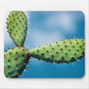 Prickley Cactus Muismat