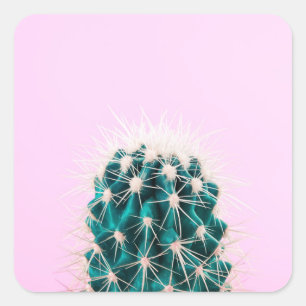 Prickley Cactus op roze Vierkante Sticker