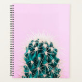 Prickley Cactus sur rose (Devant)
