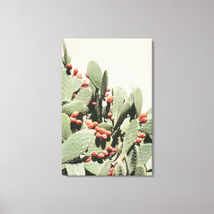 Prickley Pear Cactus Canvas Afdruk