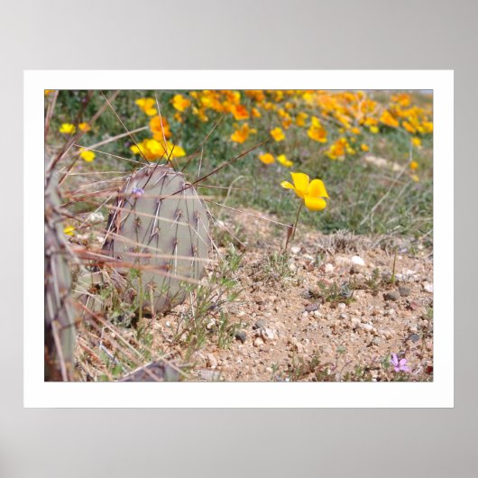 Prickley Pear Cactus & Poppy Poster (Voorkant)