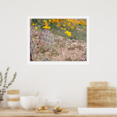 Prickley Pear Cactus & Poppy Poster (Keuken)
