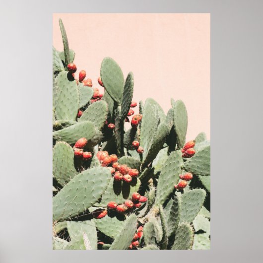 Prickley Pear Cactus Poster (Voorkant)