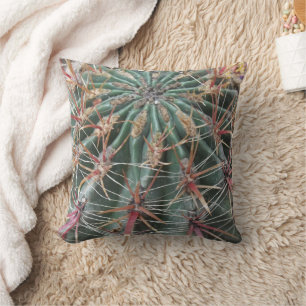 Prickly Cactus Desert Planten Southwest Design Kussen
