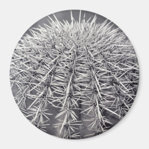 Prickly Cactus Sonoran Desert Refkoelkast Magnet Magneet