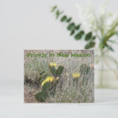 Prickly in New Mexico Briefkaart (Staand voorkant)