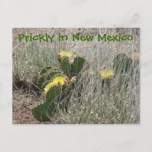 Prickly in New Mexico Briefkaart