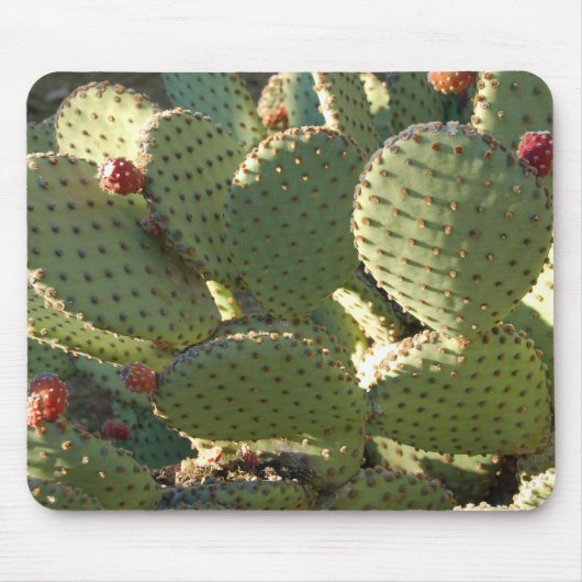 Prickly Mousepad Muismat (Voorkant)