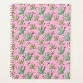 Prickly Paradise (Devant)