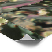 Prickly Pear Black gecentreerd Poster (Hoek)