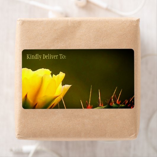 Prickly Pear Cactus Desert Flower / Yellow Green / Etiket (Insitu)