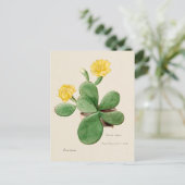 Prickly Pear Cactus Illustratie Briefkaart (Staand voorkant)