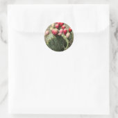 Prickly Pear Cactus in Texas Ronde Sticker (Tas)
