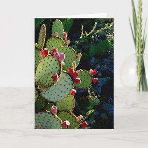 Prickly Pear Cactus Kaart