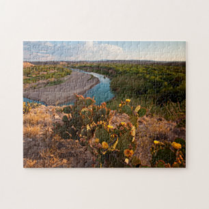 Prickly Pear Cactus (Opuntia Sp.) Legpuzzel