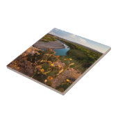 Prickly Pear Cactus (Opuntia Sp.) Tegeltje (Zijkant)