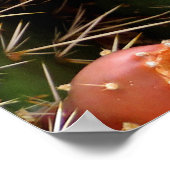 Prickly Pear Cactus Poster (Hoek)