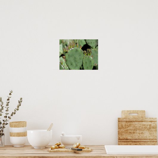 Prickly Pear Cactus Poster (Keuken)
