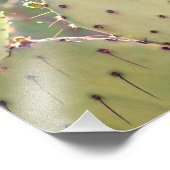 Prickly Pear Closeup | Impression photo (Coin)