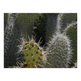 Prickly Pear foto, close-up Perfect Poster
