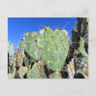 Prickly Pear Harten Briefkaart