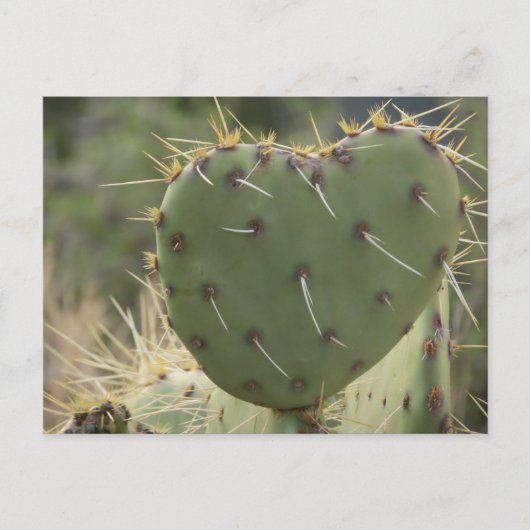Prickly Pear Heart Briefkaart (Voorkant)