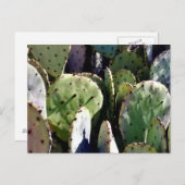 Prickly Pear nr. 3 Briefkaart (Voorkant / Achterkant)