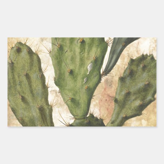 Prickly Pear Rechthoekige Sticker (Voorkant)