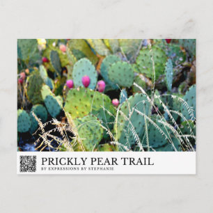 Prickly Pear Trail Briefkaart