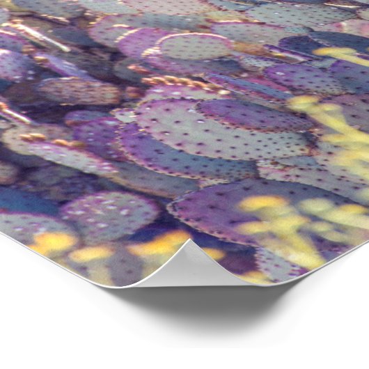 Prickly Pears | Poster (Coin)