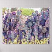 Prickly Pears | Poster (Devant)