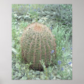 Prickly Pink Petals Cactus Desert Art Print Poster (Voorkant)