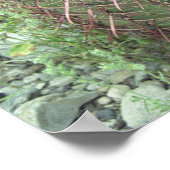 Prickly Pink Petals Cactus Desert Photo Poster (Hoek)