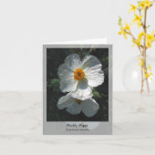 Prickly Poppy - Native Notecard Kaart (Gele Bloem)