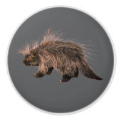 Prickly Porky Keramische Knop (Voorkant)