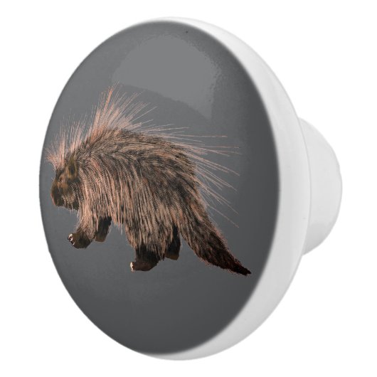 Prickly Porky Keramische Knop (Rechts)