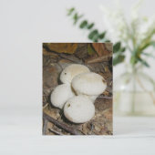 Prickly Puffs Mushroom Briefkaart (Staand voorkant)