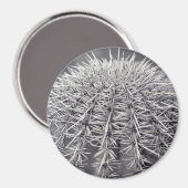 Pricks Cactus Sonoran Desert Refrigerator Magnet (Recto/Verso)