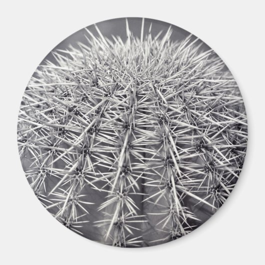 Pricks Cactus Sonoran Desert Refrigerator Magnet (Devant)