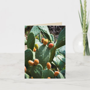 Pricyclische perenvruchten kaart