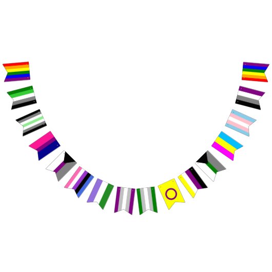 Pride Flag Megamix Bunting Flags Vlaggetjes (Alle)